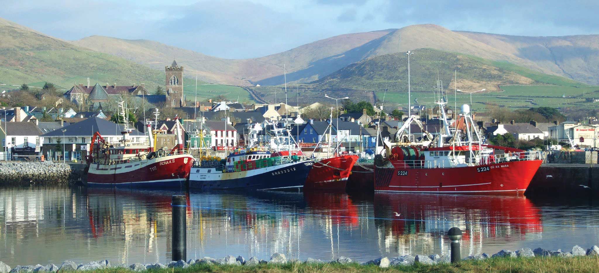 Private Dingle Peninsula Tour