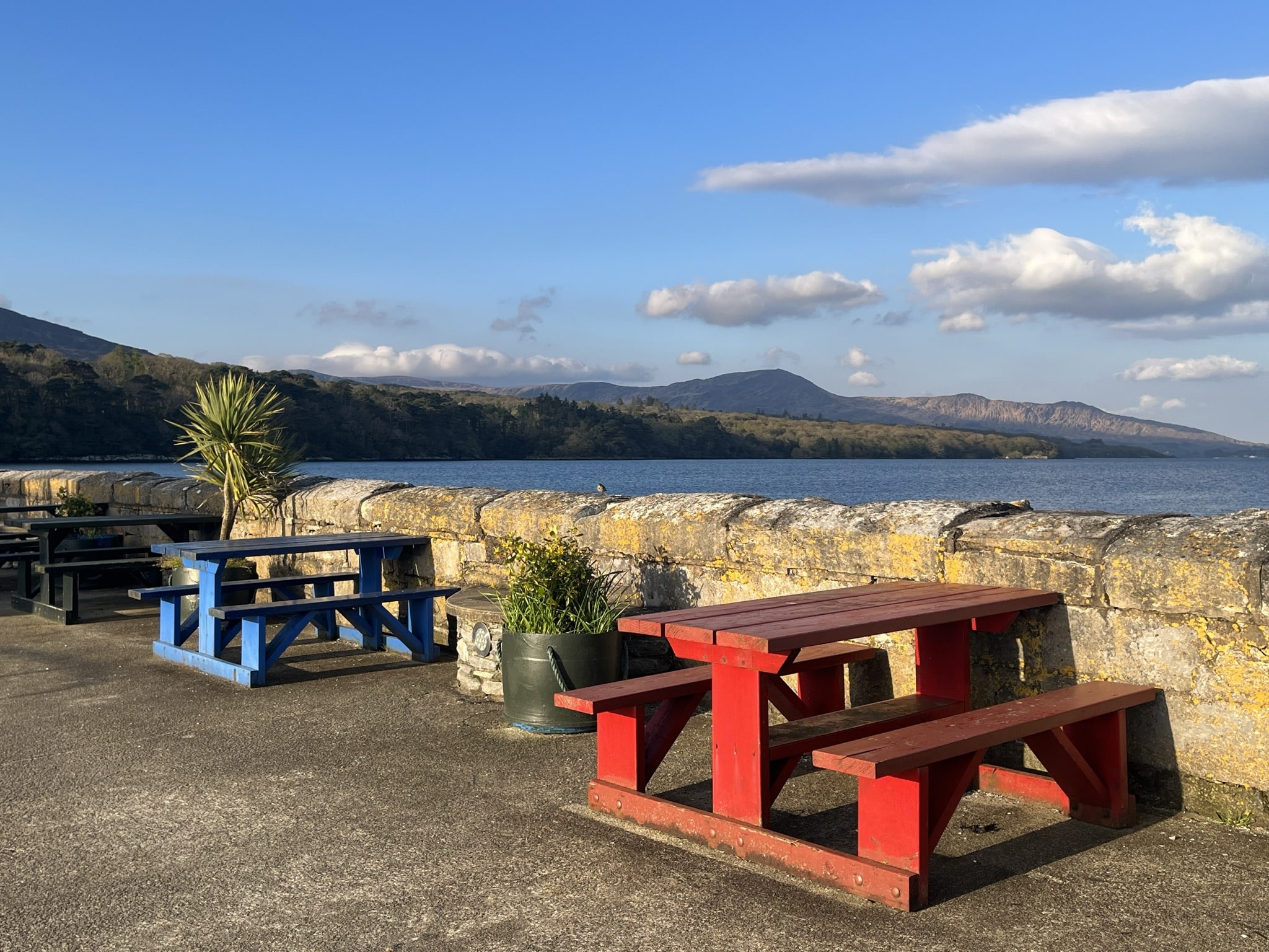 Colourful picnic benches along the stone wall at Kenmare Pier overlooking the bay and distant mountains on a sunny day.